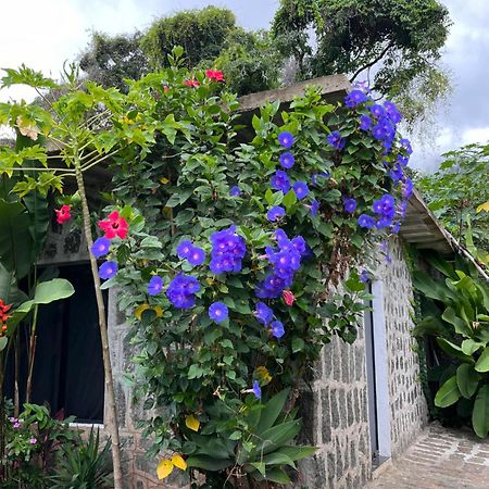 Recanto Das Mangueiras Ilhabela Bagian luar foto