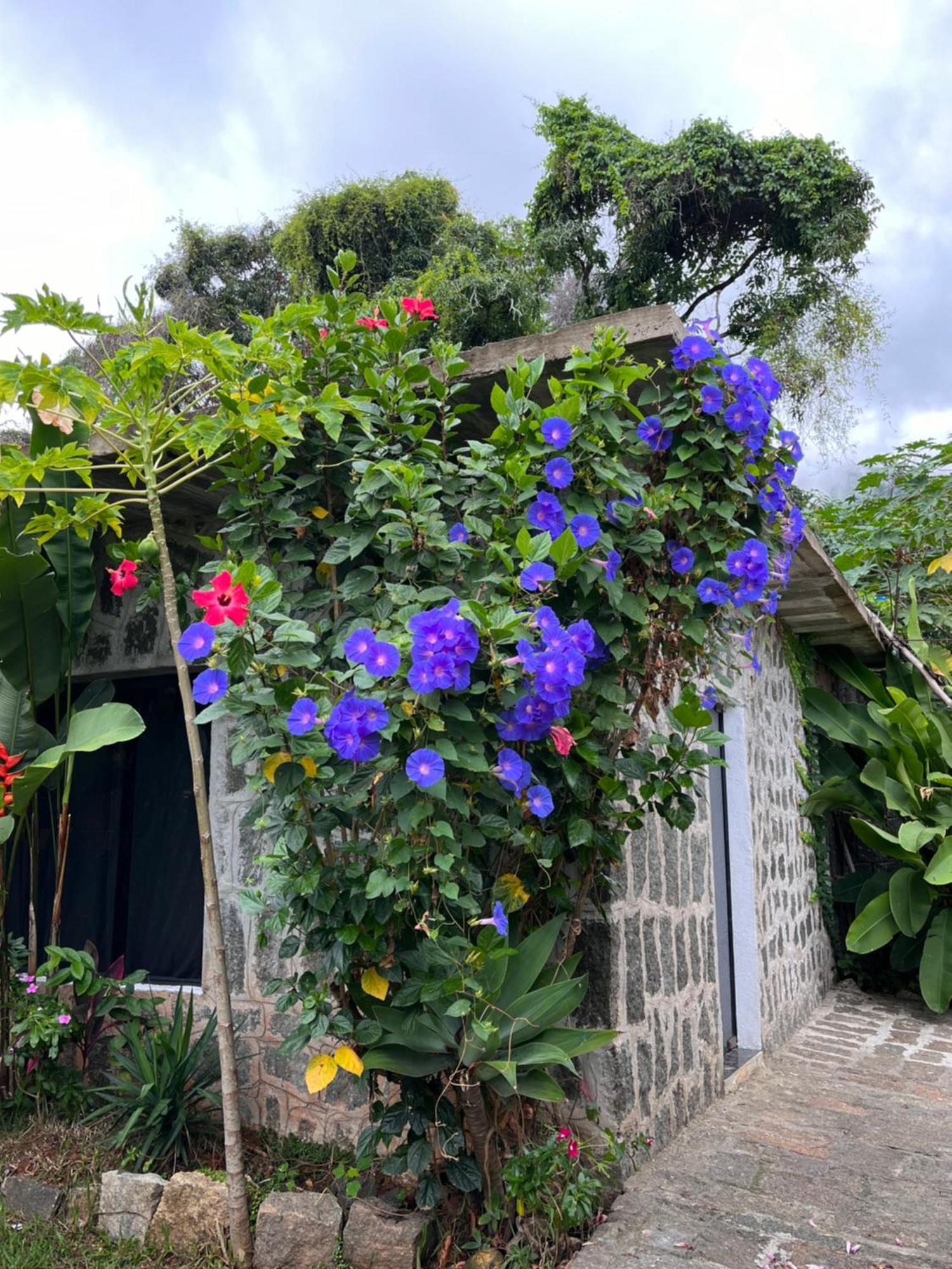 Recanto Das Mangueiras Ilhabela Bagian luar foto